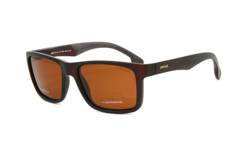 Jarcole sunglasses 8274 C111-P2